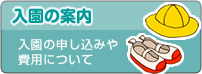 入園のご案内